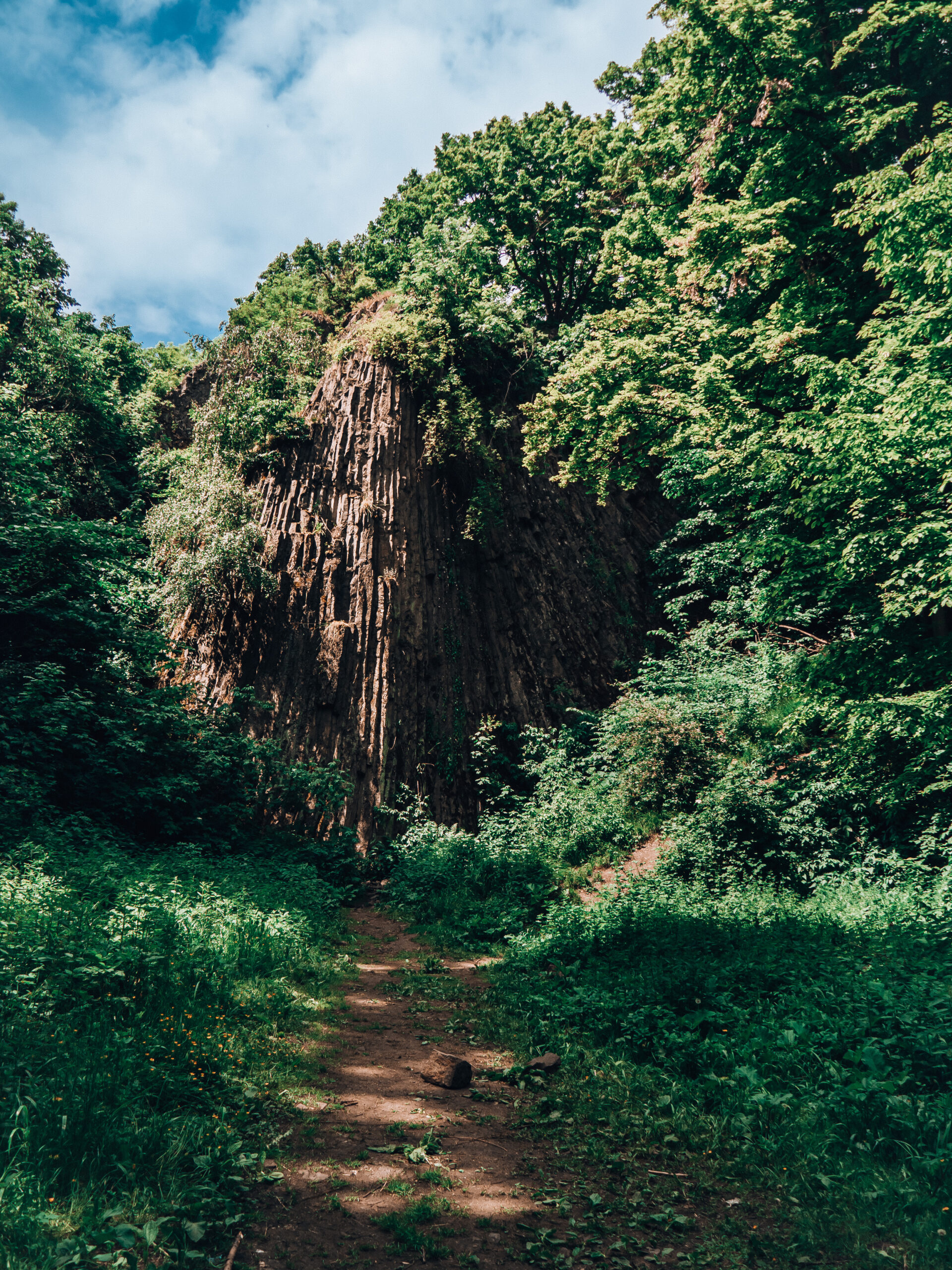 Małe Organy Myśliborskie